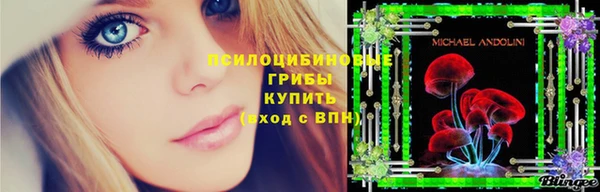 не бодяженный Аркадак