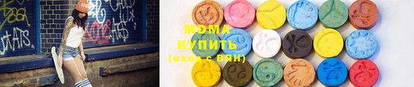 индика Арсеньев
