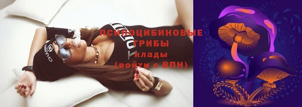 индика Арсеньев
