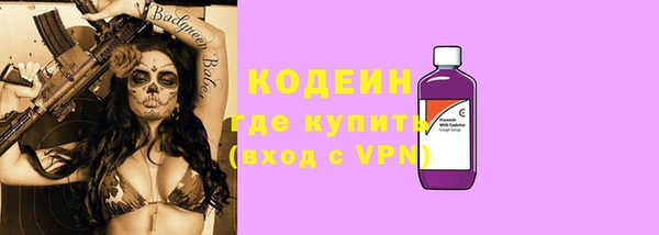 индика Арсеньев