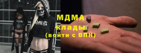 индика Арсеньев