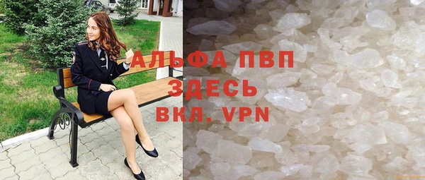 индика Арсеньев