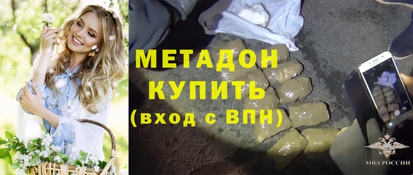 индика Арсеньев