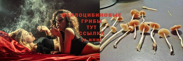 ешки Армянск