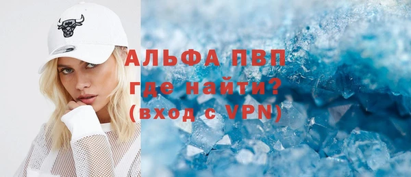 индика Арсеньев