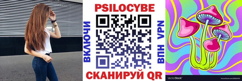Купить закладки  Белгород  Псилоцибиновые грибы мухоморы 