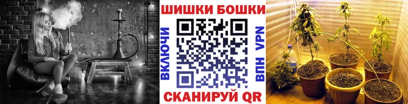 Купить где  Белгород  Шишки марихуана план 
